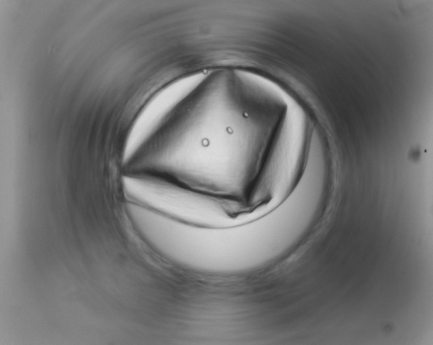 X0000112891281200909181903