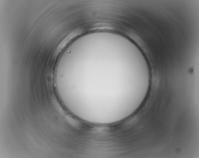 X0000112891282200909181903