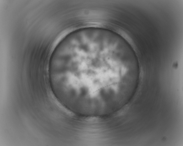 X0000112891283200909181903