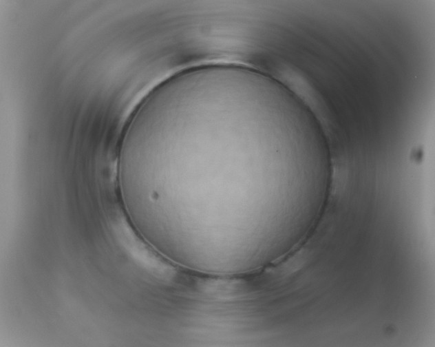 X0000112891284200909181903