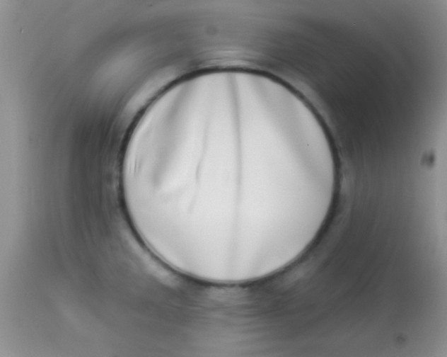 X0000112891285200909181903