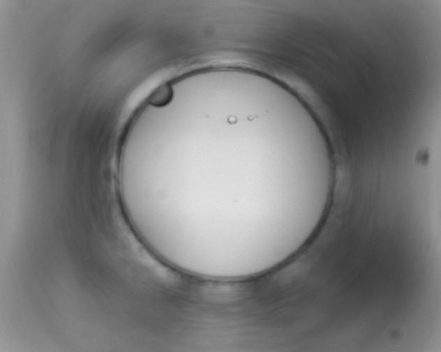X0000112891286200909181903