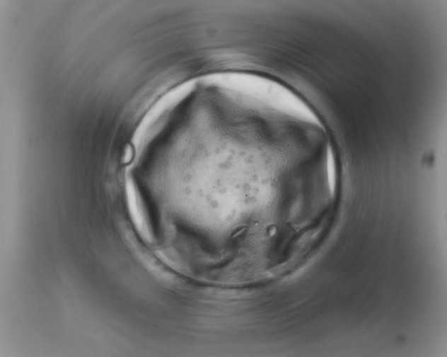 X0000112891289200909181903