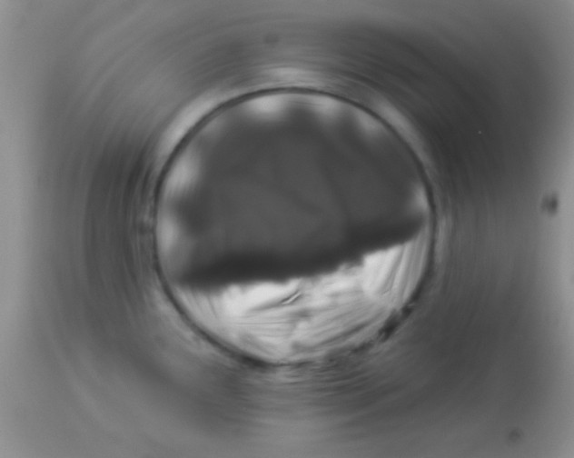 X0000112891291200909181903