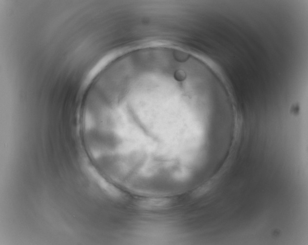 X0000112891294200909181903