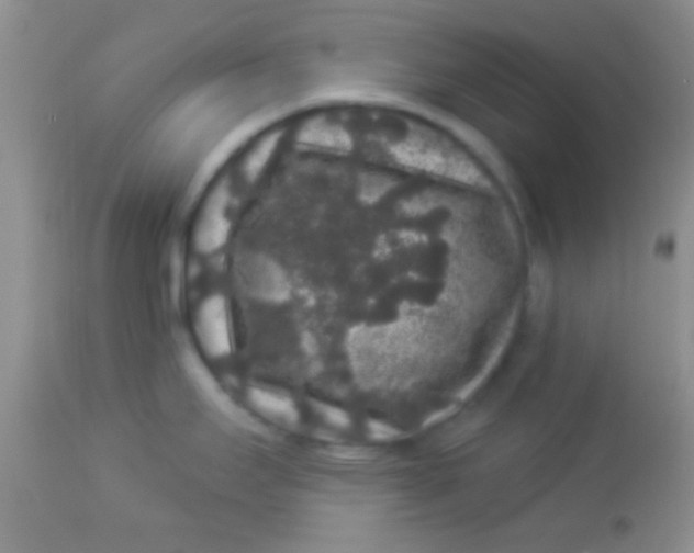 X0000112891295200909181903