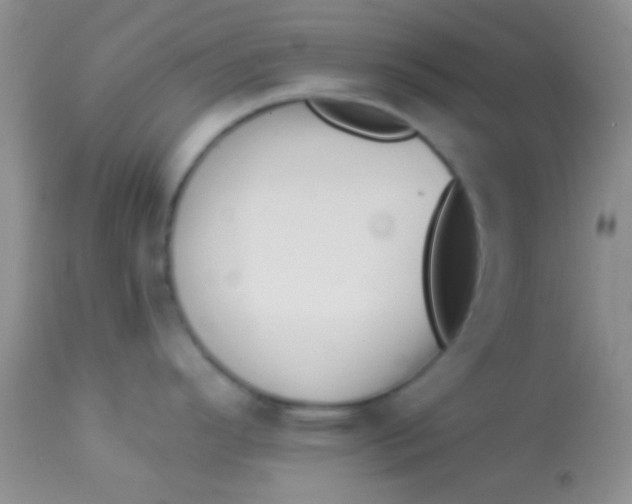 X0000112891296200909181903