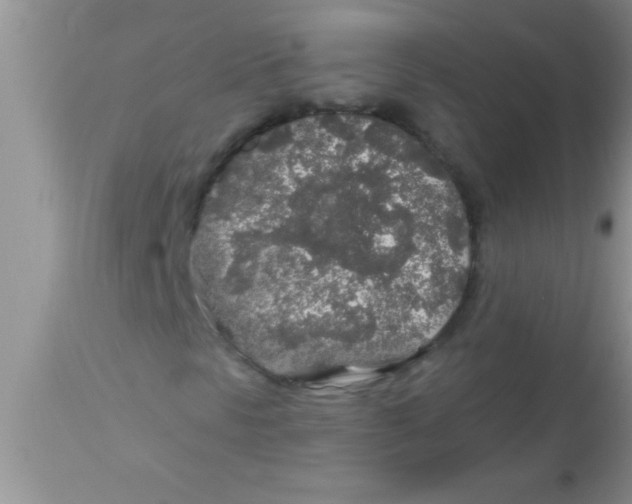 X0000112891297200909181902