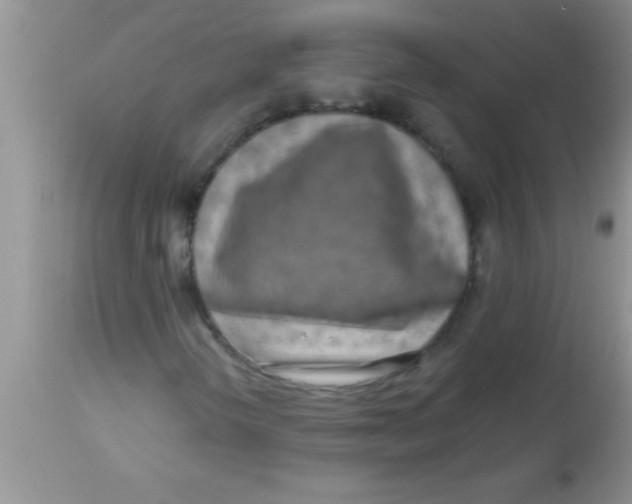 X0000112891298200909181902