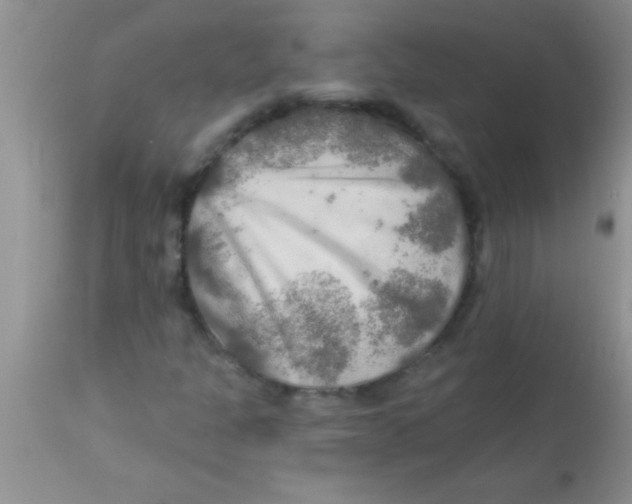 X0000112891301200909181902