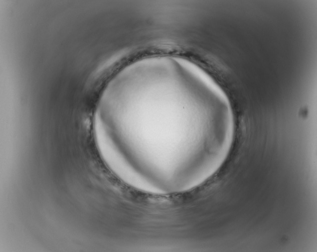 X0000112891302200909181902