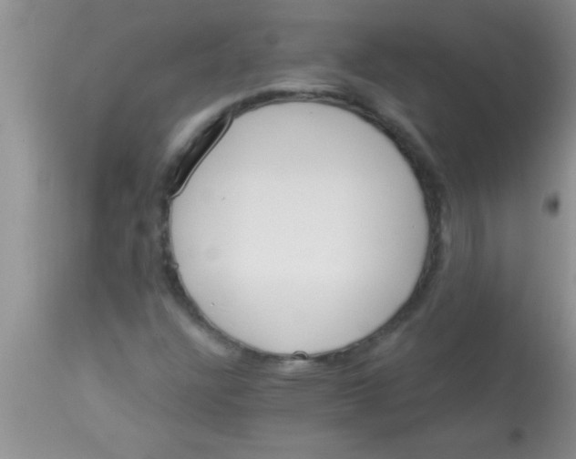 X0000112891304200909181902