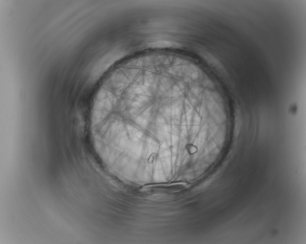 X0000112891305200909181902