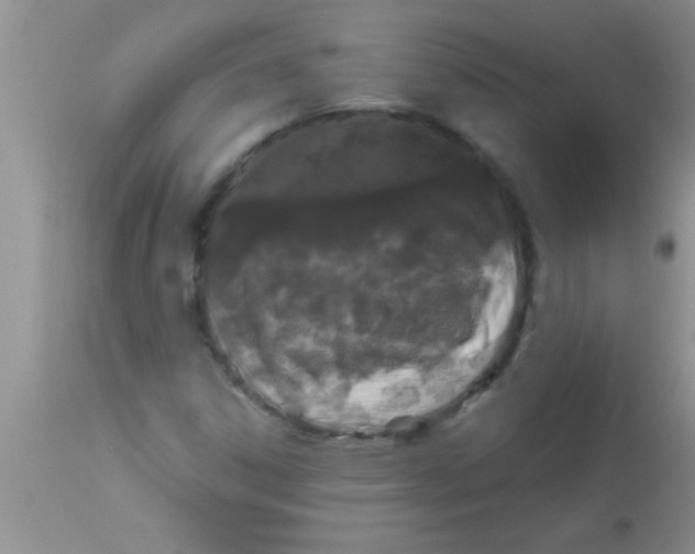 X0000112891306200909181902