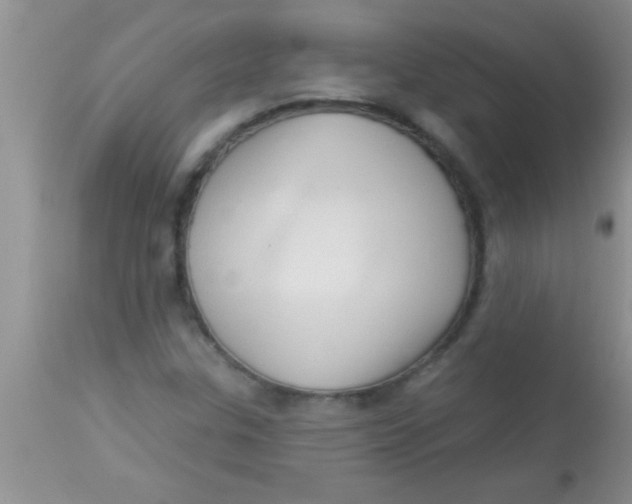 X0000112891307200909181903