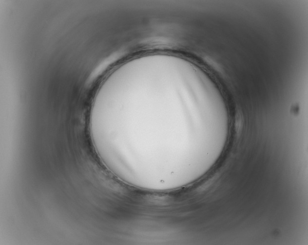 X0000112891309200909181903