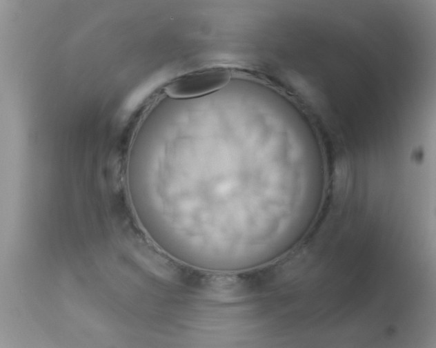 X0000112891310200909181903