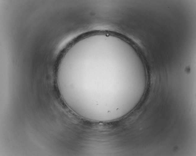 X0000112891311200909181903