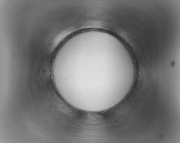 X0000112891312200909181903
