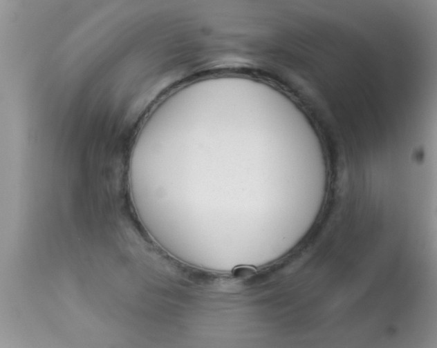 X0000112891313200909181903