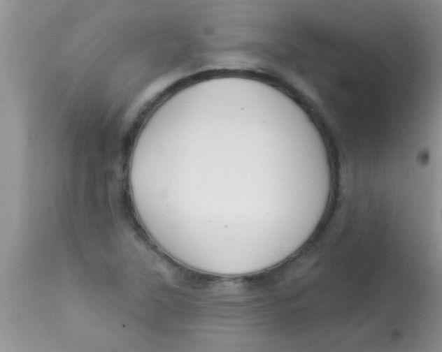 X0000112891315200909181903