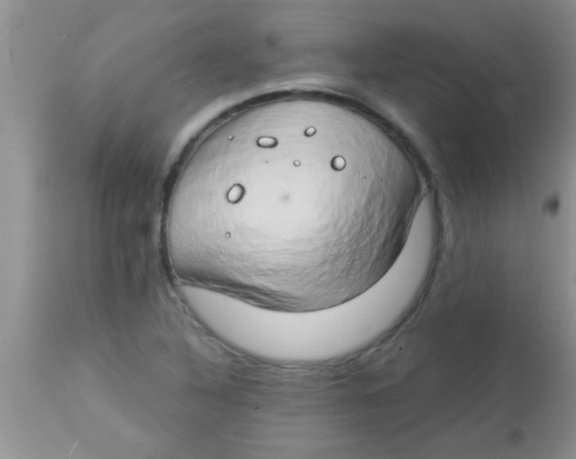 X0000112891316200909181903