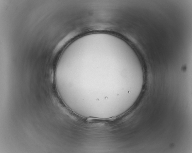 X0000112891317200909181903