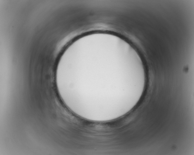X0000112891318200909181903