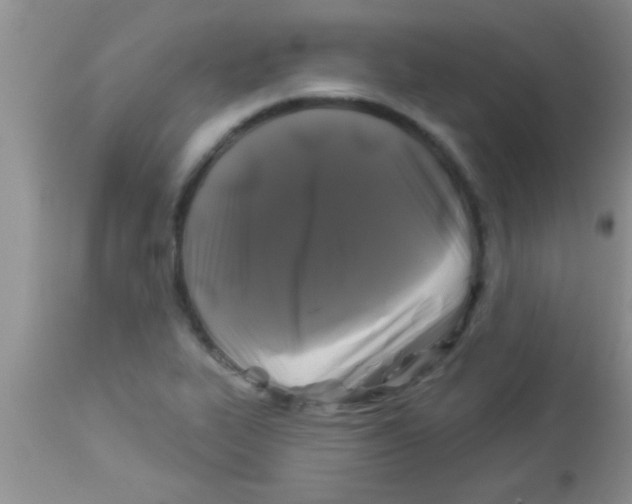 X0000112891319200909181903