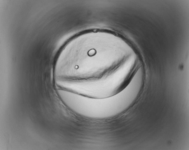 X0000112891320200909181903
