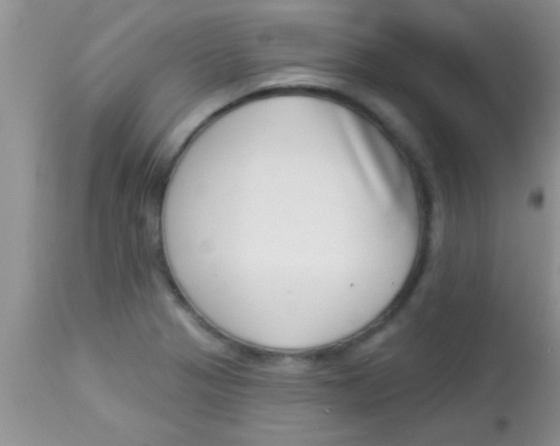X0000112891321200909181903