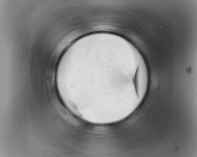 X0000112891322200909181903