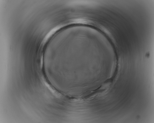 X0000112891323200909181903