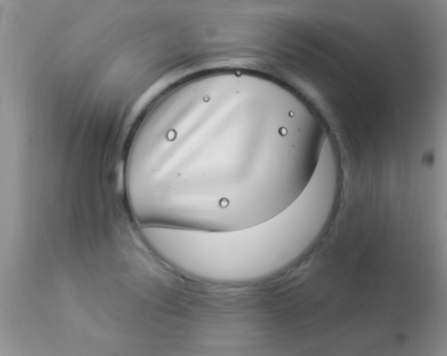 X0000112891324200909181903