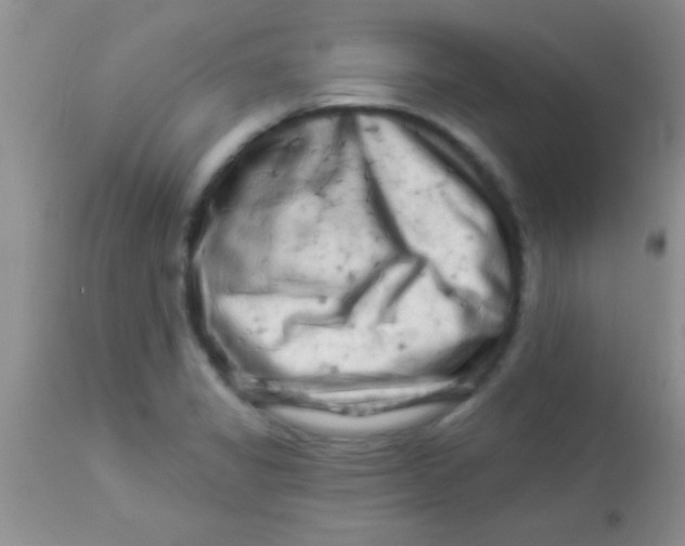 X0000112891325200909181903