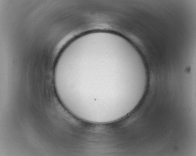 X0000112891326200909181903