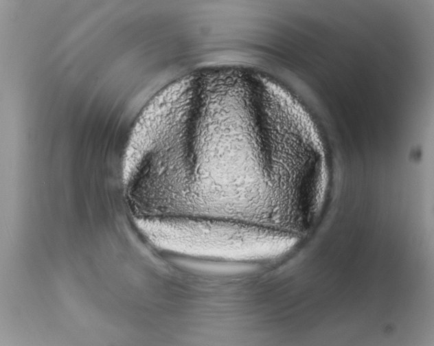 X0000112891329200909181903