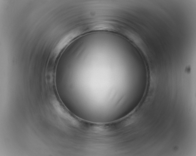 X0000112891330200909181903