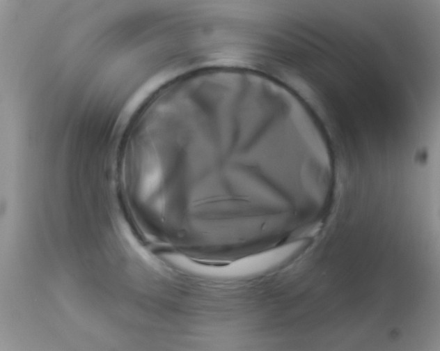 X0000112891331200909181903