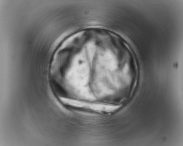 X0000112891333200909181903