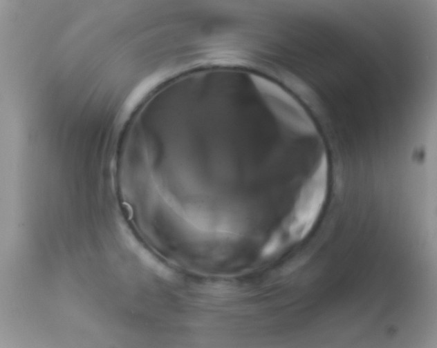 X0000112891334200909181903