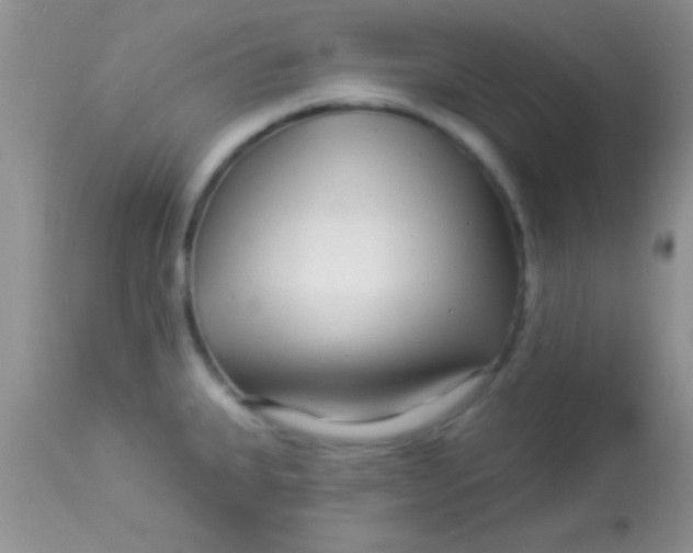 X0000112891335200909181903