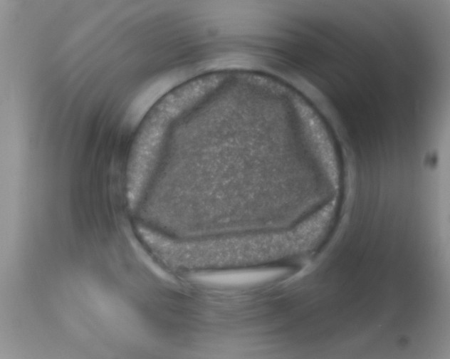 X0000112891337200909181903