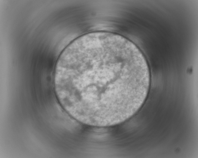 X0000112891338200909181903