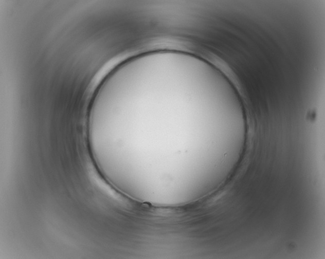 X0000112891339200909181903