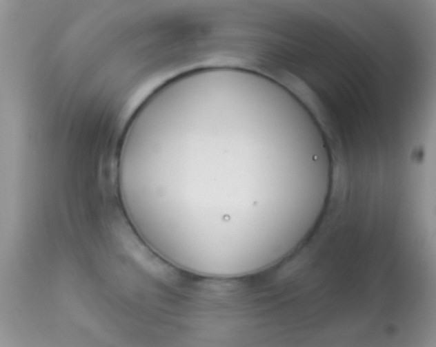 X0000112891340200909181903