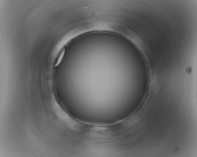 X0000112891342200909181903