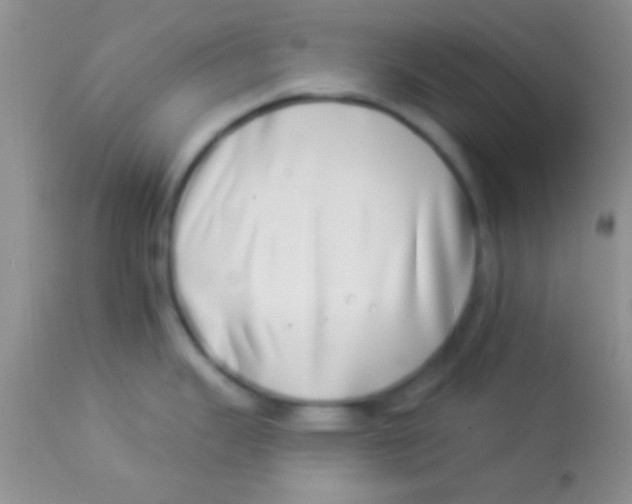 X0000112891343200909181903