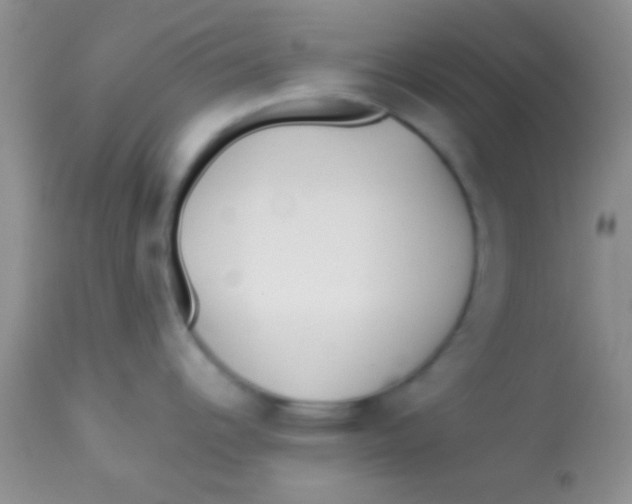 X0000112891344200909181903