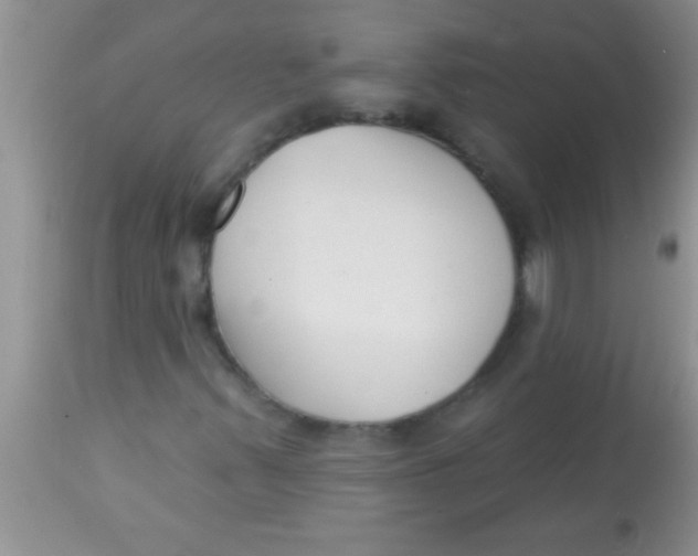 X0000112891347200909181902